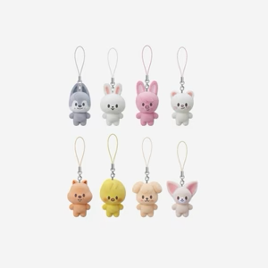 Skzoo Secret Mini Charm